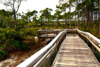 St. George Island State Park